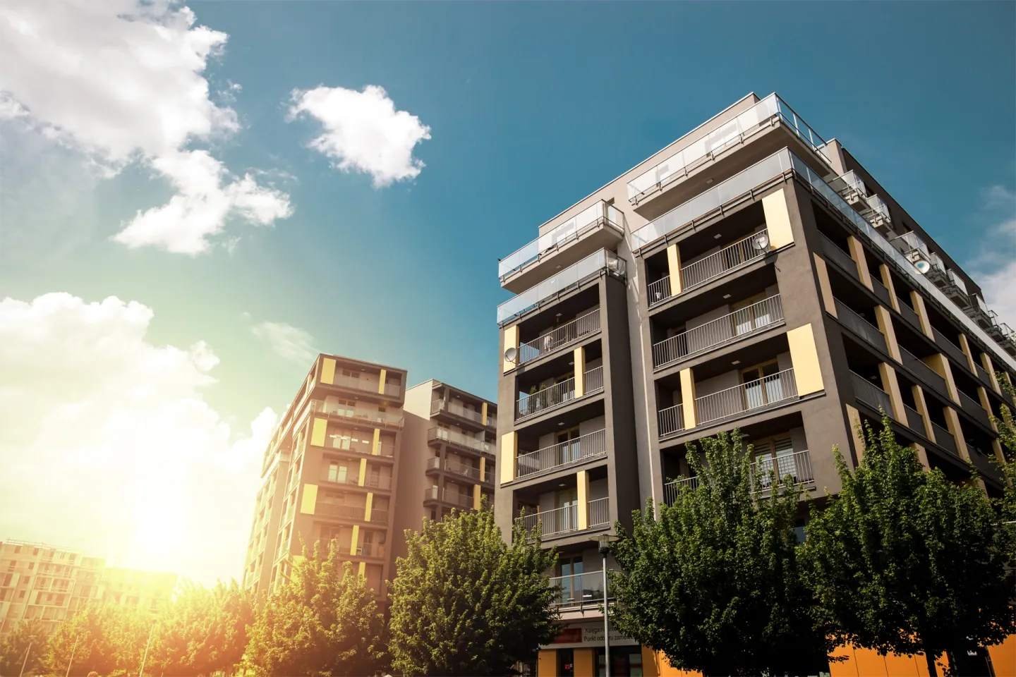 International Property